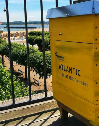 ATLANTIC Hotels Bienen auf der Terrasse in Travemünde